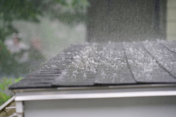 Best Roof Coating and Sealing  in Bagdad, FL